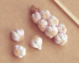 garlic string and loose garlic heads, 1/6 scale