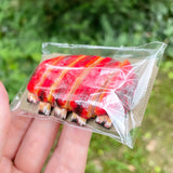 Miniature SPARE RIBS Barbecue for Dollhouses and Dolls, BJD Food in 1/12, 1/6, 1/4, 1/3 Scale