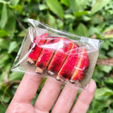 Miniature SPARE RIBS Barbecue for Dollhouses and Dolls, BJD Food in 1/12, 1/6, 1/4, 1/3 Scale