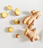 Miniature GINGER ROOT, Doll Props for Blythe, American Girl, BJD Accessories, Dollhouse Food