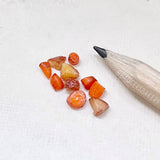 Miniature Roasted POTATOES and CARROTS, 12 pcs in 1/4, 1/3, 1/6 or 1/12 scale, Dollhouse Food, Doll Props