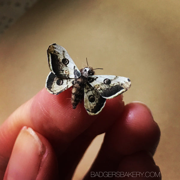 RESERVED skull moth