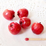 APPLE miniature - doll food for BJD, msd, sd, dollhouse - red, green or yellow - fake fruit prop