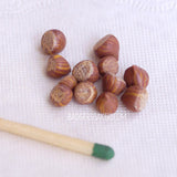 Miniature hazelnuts 1/4 scale